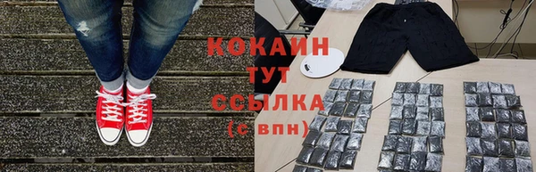 крисы Надым